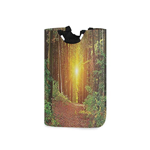 JULOE Plegable Cestas de Ropa Bosque de la naturalezaCesto para la Colada Impermeable Bolsa Bin Cesto Juguete Organizador 50L