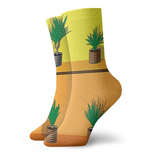 Kevin-Shop Árbol de yuca en Maceta Calcetines Cortos para Adultos Calcetines Lindos para Hombres Mujeres Yoga Senderismo Ciclismo Correr Fútbol Deportes