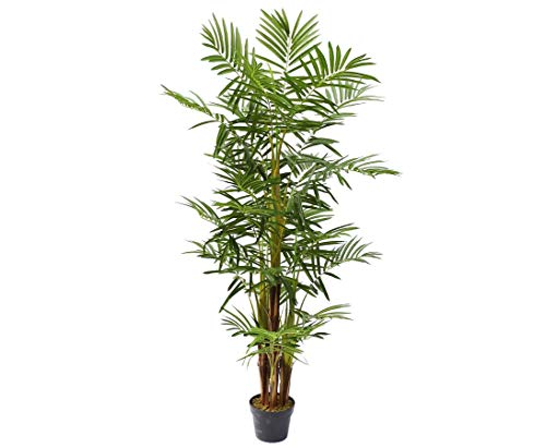 Kunstpflanzen-discount.com Areca Palme - Palmera artificial con 25 palmeras de palmera de 160 cm