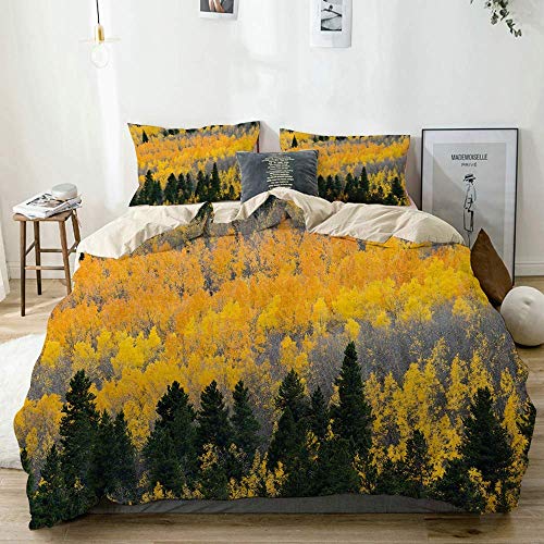 Smallgrid Juego de Funda nórdica Beige, Colores otoñales Aspen Trees USA Print, Juego de Cama Decorativo de 3 Piezas con 2 Fundas de Almohada de fácil Cuidado antialérgico Suave Suave