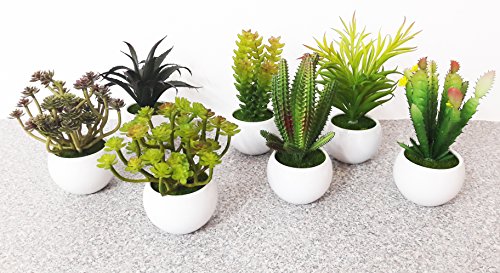 takestop Piantina Grassa Planta Falsa Artificial jarrón Blanco cerámica Redondo 5 x 15 cm Decoración Diseño para Escritorio Oficina BOMBONIERA