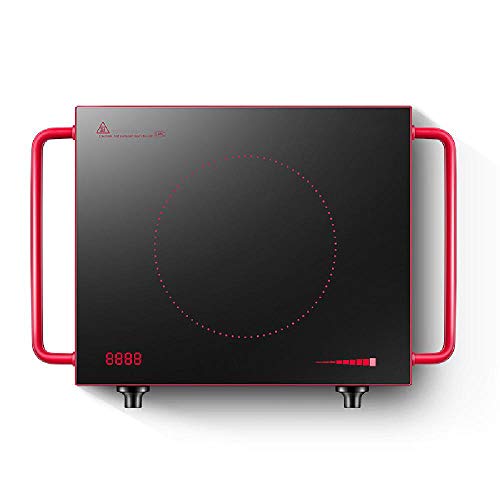 TSTYS Inducción de Escritorio vitrocerámica Anti-Caliente Agarre eléctrica vitrocerámica portátil Cocina eléctrica 2200W, Negro Panel de Cristal de Control de Mando de radiación de Baja Segura,Red