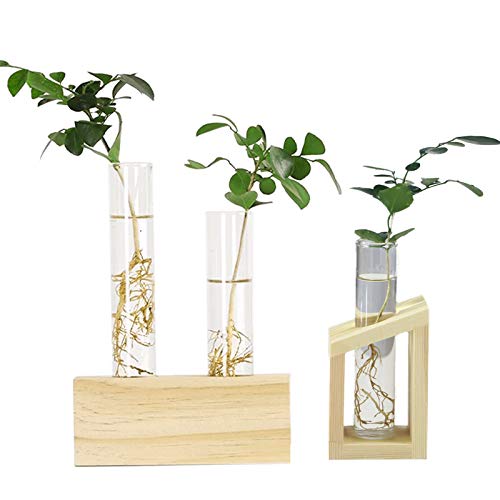 Vaso decorativo in legno con supporto idroponico,2 Pianta da Tavolo Terrario Vaso per Fioriera in Vetro Vaso in Vetro iantatrice di vetro da tavolo Stazione di propagazione Semplicemente per piantare