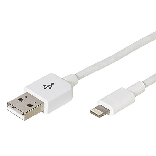 Vivanco USB-Cable de Datos para iPad