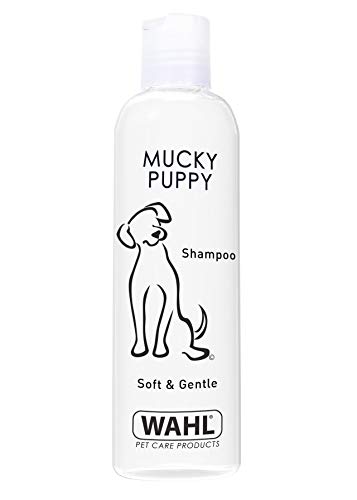 WAHL Smartgroom Dulce diseño de Cachorro de Gato Mascotas Champú 250 ml