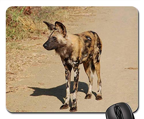 Yanteng Juego Alfombrillas de ratón, Alfombrilla de ratón, Sudáfrica Wild Nature Wildlife Animals Wild Dog