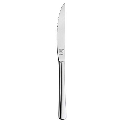 Zwilling Twin Nova-Cuchillo de Carne, chuletero 120 mm, Acero Inoxidable, Plateado