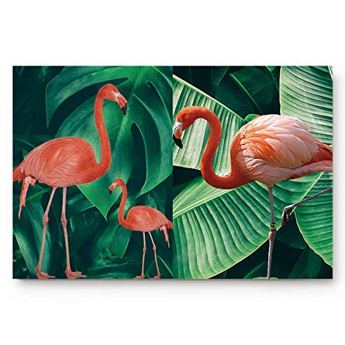 Amanda Walter Felpudo Interior Alfombra de Puerta Delantera de Perfil bajo Planta Tropical de Verano 40x60cm Alfombra de Puerta Delantera Absorbente de Goma Antideslizante Entrada Dirt Trapper