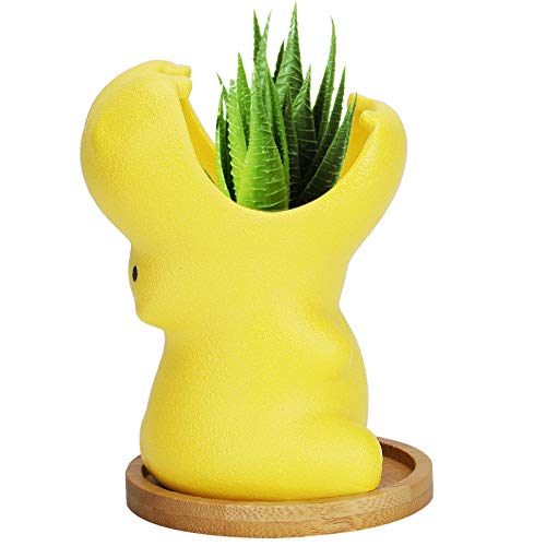 Herefun 9.5CM Maceta Pequeña de Cerámica Amarillo, Cerámica Cactus Macetas Hipopótamo, Animales Animados Macetas, Maceteros Decorativos Ideal para el Hogar, Oficina, Interiores, Exteriores