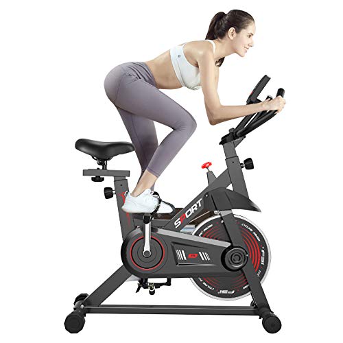 HT&PJ Bicis Estaticas Bicicleta Estatica Spinning, Pantalla LCD, Asiento Y Manillar Regulables, Soporte para Teléfono Móvil, Transmisión por Correa, Volante De Acero De 5 Kg