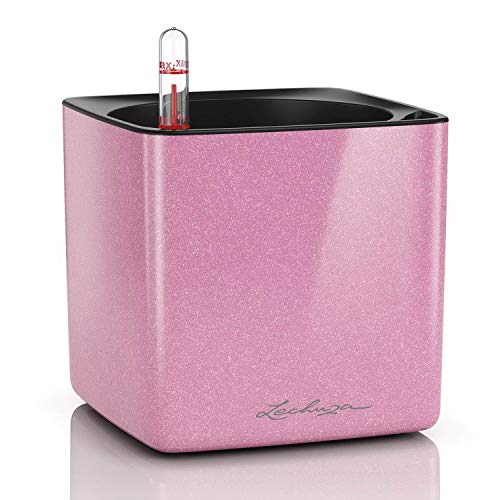 LECHUZA Cubo Brillante Kiss 14 - Maceta pequeña con riego para Interior sin Orificio de Drenaje, poliresina H14 L14 W14 cm Sweet Candy Brillante Brillante