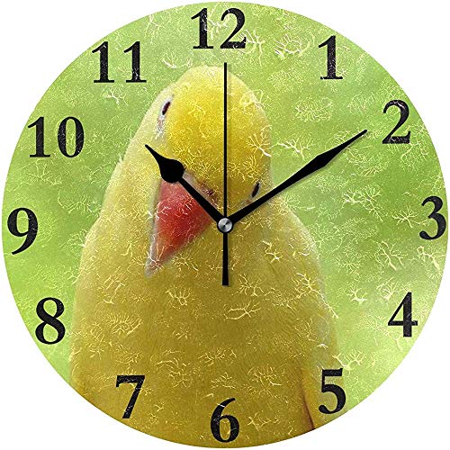 Moily Fayshow Reloj de Pared Redondo Sunny Little Parrot Green Bird Cute Yellow Creative Home Decorativo Silencioso Sin tictac Reloj con Pilas