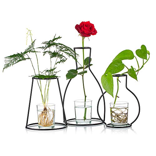 Nuptio Creativas De Escritorio con Jarrones De Cristal Y Soporte De Metal De Hierro para Plantar Agua, Arreglos Florales, Regalo para Decoración del Hogar, Centros De Mesa De Boda (3 Piezas)