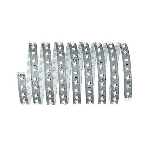 Paulmann Tira de luces LED 70828 MaxLED 500, incluye 1 tira de luz de 14 W, regulable, de plástico, 6500 K