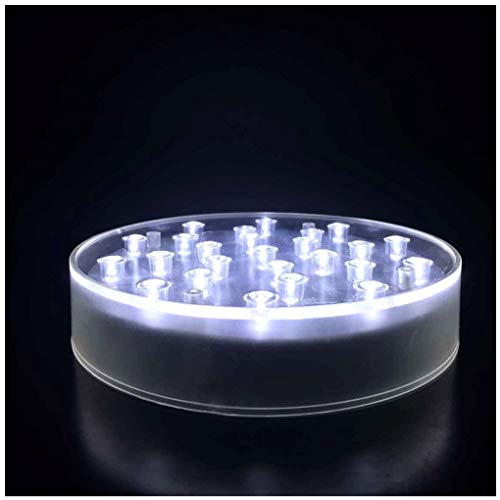 ARDUX 15,24 cm forma redonda 25 luces LED jarrón base luz con carga USB o pedestal alimentado por batería para decoración de hogar, plantas, jardín, fiesta