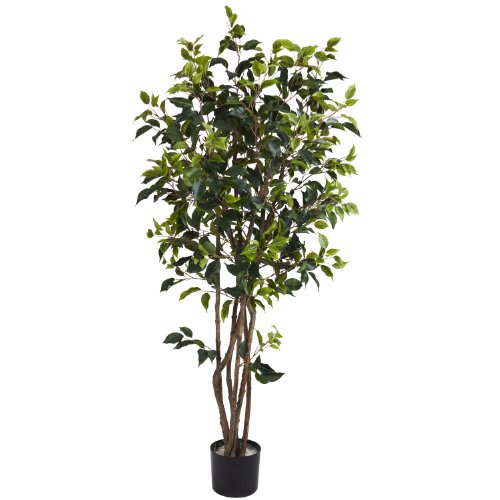 Casi Seda Natural 5333 5 pies Ficus -rbol de seda Bushy