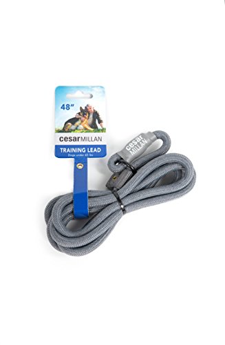 Cesar Millan Cable de Entrenamiento de Nylon 48", 1,2cm