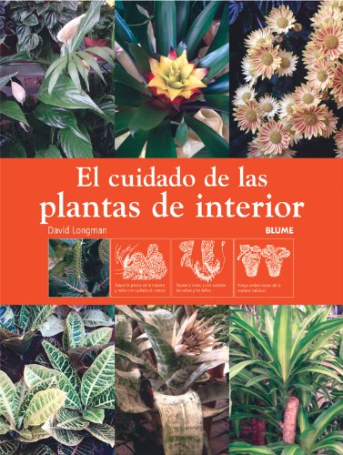 El cuidado de las plantas de interior