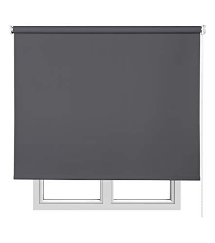 Estores Basic Opaco Estor Enrollable, Tela, Gris Oscuro, 150 x 175 cm