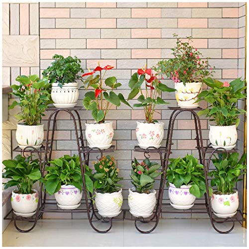 FCXBQ Macetero de Metal de 6 Niveles Soporte para Plantas Estante de múltiples Capas para Balcones de pie en el balcón para el jardín y el apartamento De pie (Color: Latón, Tamaño: 6tier)