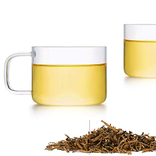 Friedos Juego de 2 tazas de té pequeñas de 100 ml de capacidad, aptas para teteras – Taza de té de vidrio de borosilicato hasta 130 °C – 100 ml de volumen