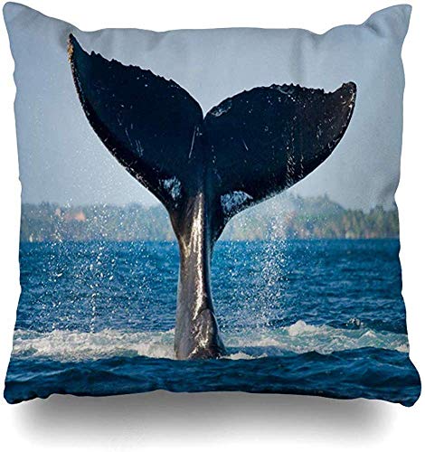 JONINOT Doble Cojines Fundas 18" Ballena Salto Cola jorobada Madagas Salpica Isla Agua Océano Naturaleza Oceanografía Área marítima Funda de Almohada Suave para la Piel