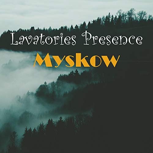 Lavatories Presence Myskow