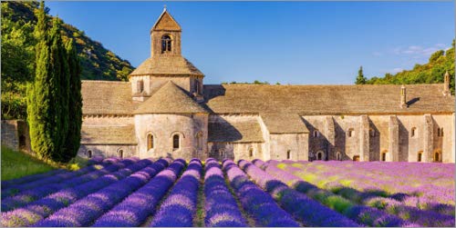 Lienzo 100 x 50 cm: Cistercian Abbey, Abbaye Notre-Dame de Sénanque de Kim Petersen/imageBROKER - Cuadro Terminado, Cuadro sobre Bastidor, lámina terminada sobre Lienzo auténtico, impresión en li.