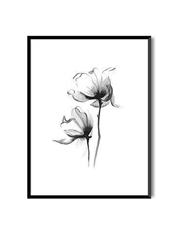MILUKA Láminas para Enmarcar para Cuadro de Estilo Elegante | Póster de Plantas Estilo Acuarela | Magnolia | Varios Tamaños (30 x 40 cm)