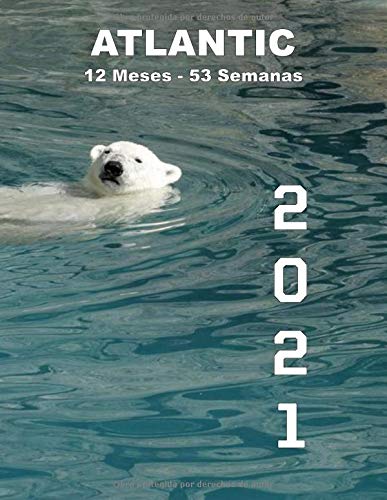 planificador mensual y semanal 2021, tema: Oso: Planificador 2021: de enero a diciembre de 2021. 124 páginas - 21,59 x 27,94 cm (8,5 "x 11"); 12 ... Funda para amantes de la vida salvaje.