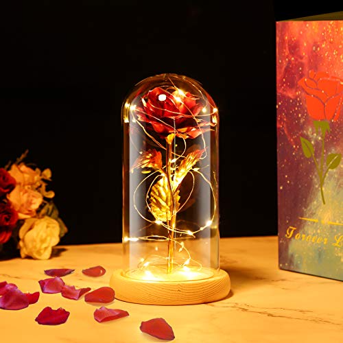 PREUP Rosa Eterna Rosas Bella y Bestia, Elegante Cúpula de Cristal con Base Pino Luces LED Regalos para el Día de San Valentín, Día de la Madre, Aniversario de Bodas, Cumpleaños