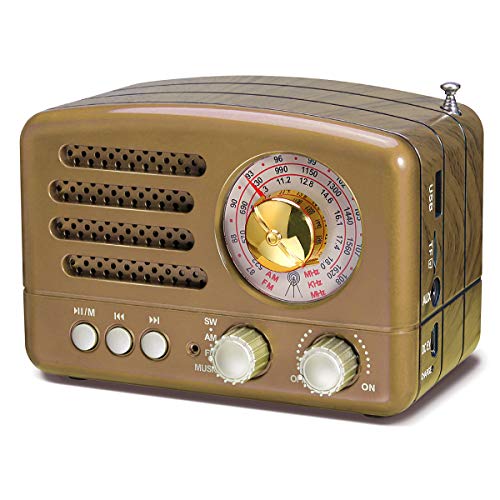 PRUNUS J-160 Radio de Transistor portátil pequeña, Altavoz Bluetooth portatil Radio Retro con batería Recargable de 1800mAh, USB Incorporado, Micro-SD, Entrada AUX (Oro)
