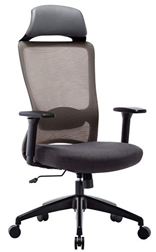 Silla de Oficina Ergonómica de Escritorio, con Reposacabezas, Apoyabrazos Ajustables y Soporte Lumbar, Malla Transpirable, Mecanismo de Inclinación y Altura Ajustable, para Hogar Oficina y Gaming