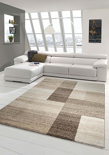 Traum Sala de estar diseñador Alfombra moderna Alfombra bajo alfombra de pelo diseño barroco Heather Marrón Beige Größe 160x230 cm