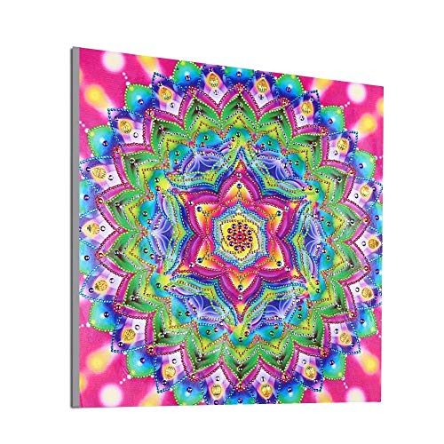 Vivid Bordado Diamante DIY Taladro Completo Diamante Dibujar Mosaico Digital Mandala Kit de Pintura Mural Arte de la Pared para la Decoración del Hogar