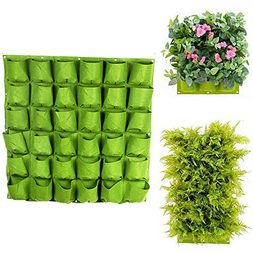 VOANZO Green Garden - Macetero vertical multibolsillo para colgar en la pared, fieltro, para interiores y exteriores, 36 bolsillos (100 x 100 cm)