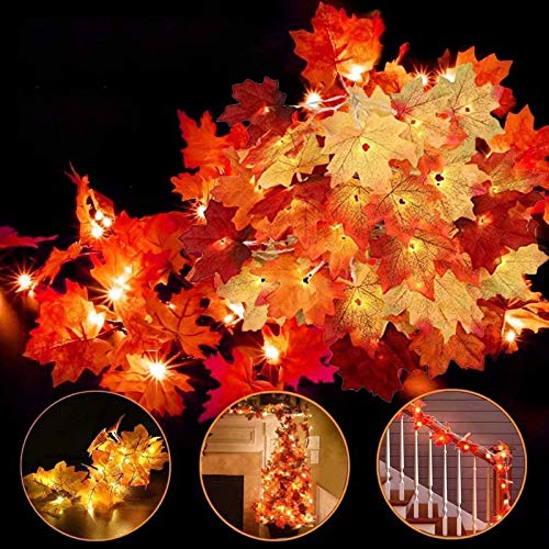 AMANKA Autumn Maple Luces, Decoracion de Otoño Luces LED,Guirnalda Luces 2M 20LED Cadena de Luces, para Por Decoración, Habitaciones, Bodas,Cumpleaños,Navidad de Exterior (2PCS)