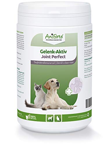 AniForte Garra del diablo en polvo para perros y gatos 500g - producto 100% natural para articulaciones, tendones y ligamentos. Ayuda a la movilidad y a la función articular, de alta aceptación