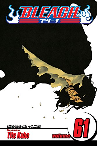 Bleach, Vol. 61: The Last 9 Days (English Edition)