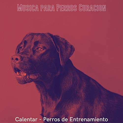 Calentar (Musica)