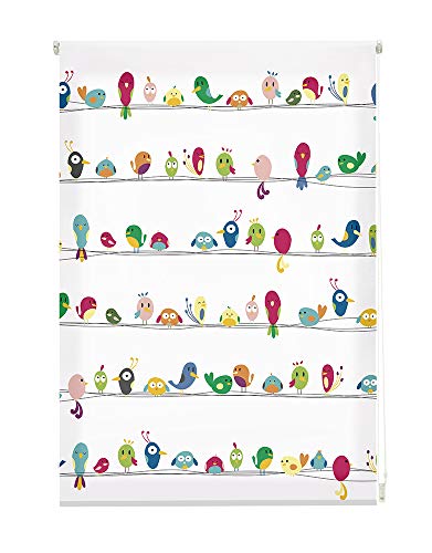 HappyStor HSCIExc028009 Estor Enrollable Estampado Digital Infantil Tejido Traslúcido Medida Total Estor:145x250 (**Solo Ancho Tela:141-142cm.**)