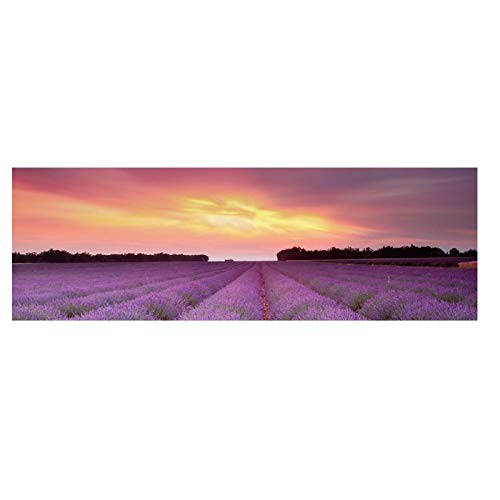 JLFDHR Carteles e Impresiones de paisajes Naturales de Lavanda provenzal, Lienzo artístico, Cuadro de Pared para Sala de Estar, 50x150cmx1 sin Marco