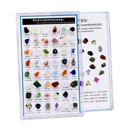 perfeclan Colección educativa de 48 Piezas de Roca y Mineral y Caja de colección de Lujo para Regalos Infantiles