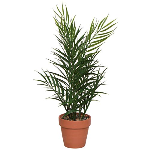 Vidal Regalos Planta Decorativa Artificial Tropical 37 cm