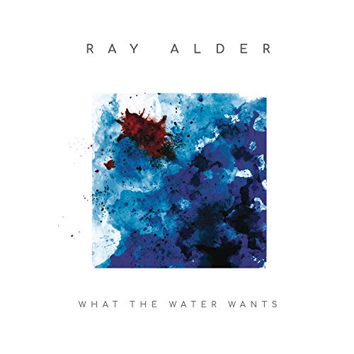 What The Water Wants [Vinilo]