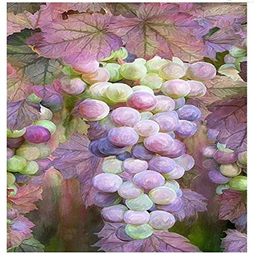 Yingxin34 Puzzle de 2000 Piezas para Adultos - Racimo de Uvas moradas - Piezas de Rompecabezas duraderas, Divertido Juego Familiar o Juguete Educativo de Regalo 70x100cm