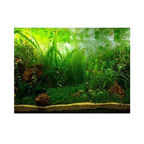 Cartel de Fondo de Tanque de Peces de Acuario Papel Adhesivo de PVC Decoración Papel Verde Agua Estilo Acuático como Real Socialme-EU(122 * 61cm)