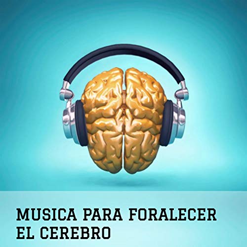 Cerebro Aplicado