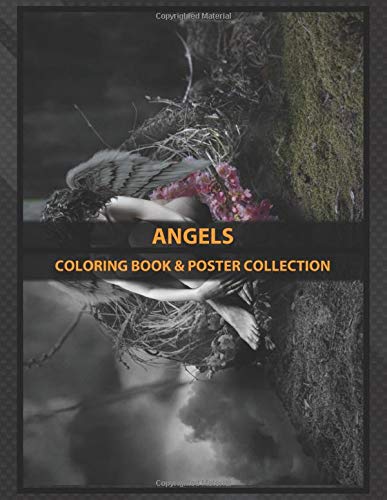 Coloring Book & Poster Collection: Angels Model Stock Kindly Donated Fantasy