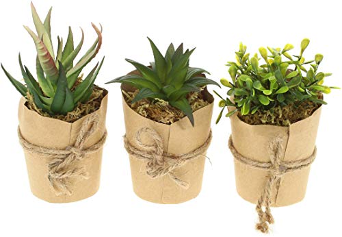 com-four® 3X Plantas Artificiales, Plantas Decorativas engañosamente Reales en jarrón de Papel, Plantas Artificiales para casa, jardín, balcón y Oficina [la selección varía] (03 Pieza - tamaño M)